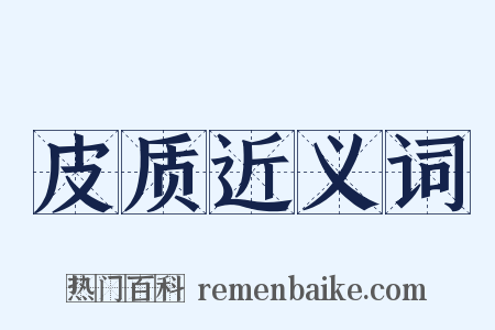 皮质近义词是什么意思的图片